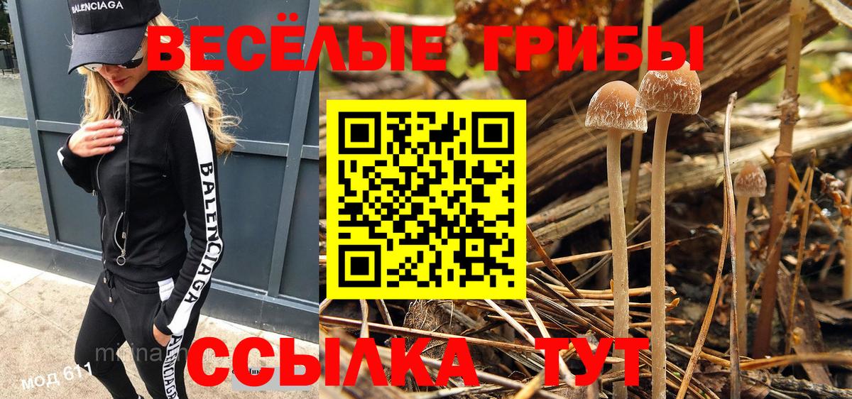 Миллерово  Галлюциногенные грибы мицелий  Галлюциногенные грибы Magic Shrooms  Вход с VPN 
